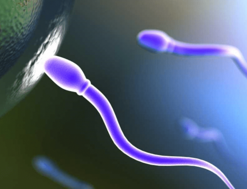 نقش تغذیه در افزایش سطح تستوسترون و میزان اسپرم