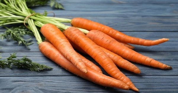استفاده از هویج برای درمان زود انزالی مردان با طب سنتی